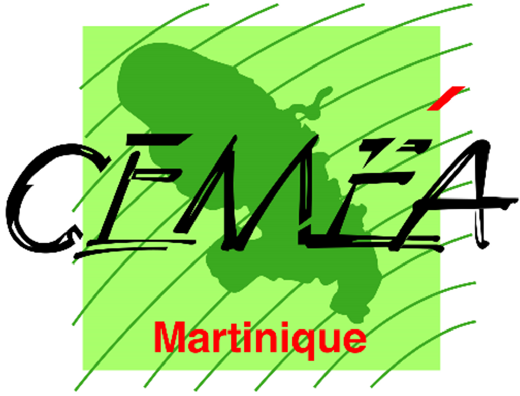 LOGO CEMEA